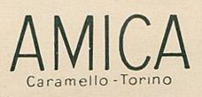 Amica-Trademark.jpg